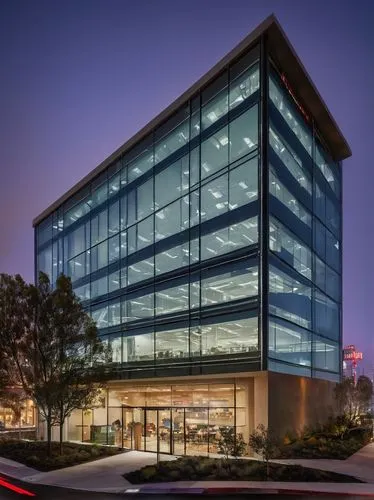 Modern Netflix headquarters building, glass and steel structure, sleek lines, minimalist design, night scene, warm lighting, cityscape background, San Francisco Bay Area, foggy atmosphere, low-angle s