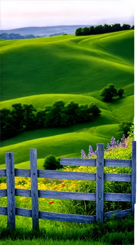 white picket fence,pasture fence,green fields,fences,landscape background,fence posts,golf course background,green landscape,fenceline,rolling hills,green grass,farm background,fence,farmland,farm landscape,home landscape,the fence,grassfields,green meadow,grasslands,Photography,Black and white photography,Black and White Photography 14