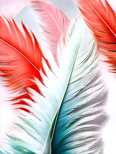 parrot feathers,color feathers,feather,feathers,bird feather,bird wing,peacock feathers,plumes,chicken feather,butterfly background,gradient mesh,pigeon feather,peacock feather,swan feather,abstract air backdrop,hawk feather,feathers bird,bird wings,butterfly wings,spring leaf background,Art,Artistic Painting,Artistic Painting 45