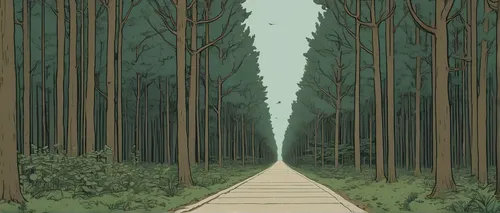 Imagine a mystical forest with talking trees that guide people on their journeys.,forest path,forest road,the forest,forest,bamboo forest,forest walk,cartoon forest,pine forest,forests,the forests,woo