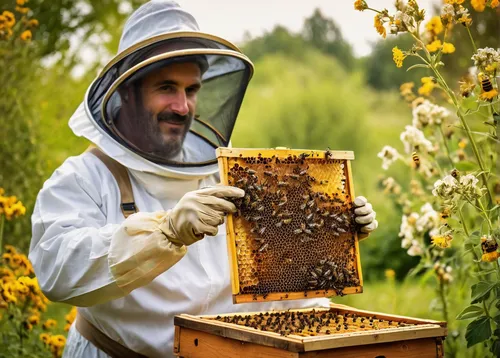 beekeeping,beekeeper,beekeepers,bee keeping,bee-keeping,beekeeping smoker,apiary,bee farm,beeswax,beekeeper's smoker,bee colonies,beehives,beekeeper plant,honey bees,honeybees,bee hive,swarm of bees,honey products,bees,bee,Illustration,Realistic Fantasy,Realistic Fantasy 13