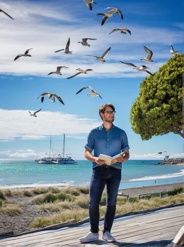 cyprien,compositing,rottnest,rottnest island,beach background,rogen,waiheke,seagulls flock,photo manipulation,seagulls,image manipulation,youtube background,greenscreen,galecki,photographic background,miptv,photomontages,portlet,fremantle,buckland,Conceptual Art,Daily,Daily 28