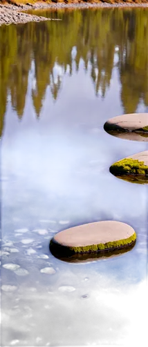 River rock, grey stone, moss covered, smooth surface, rounded edges, reflection on water, calm river, serene atmosphere, warm natural light, shallow depth of field, close-up shot, panoramic view.,refl