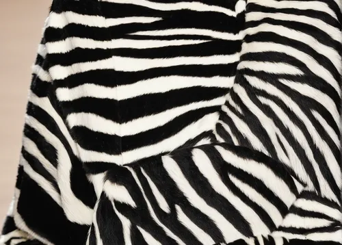 Describe the luxurious feel of running your hands over the smooth zebra fur.,zebra fur,zebra pattern,zebra,diamond zebra,burchell's zebra,black and white pattern,pin stripe,baby zebra,zebras,zebra cro