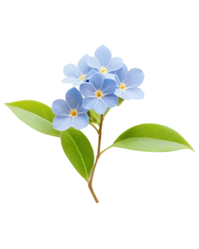 Delicate Periwinkle flowers, light blue petals, five-petaled, yellow center, thin stems, green leaves, solo, macro shot, close-up view, shallow depth of field, natural lighting, warm color tone.,a sma