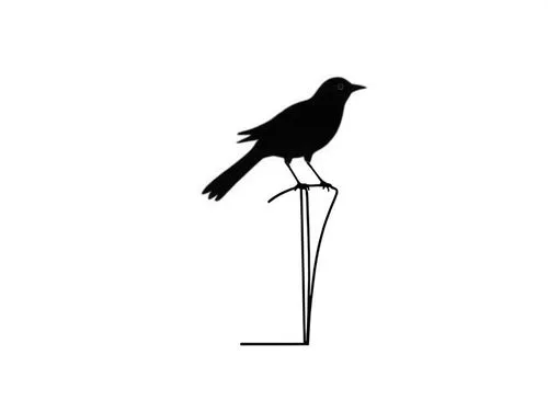 crow in silhouette,3d crow,female silhouette,bird outline,bird png,bird illustration,Design Sketch,Design Sketch,Rough Outline