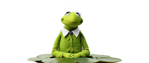 kermit,leaupepe,frog background,gex,energex,pascal,pasquel,greenie,ziffer,renderman,green frog,orvil,peashooter,green animals,greenly,bickett,perroncel,patrol,kero,houseleek,Conceptual Art,Sci-Fi,Sci-Fi 12