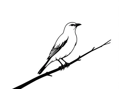 a black and white drawing of a small bird sitting on a tree nch,shrikes,bird on branch,cuckooshrike,kingbird,bird illustration,helmetshrikes,Design Sketch,Design Sketch,Rough Outline