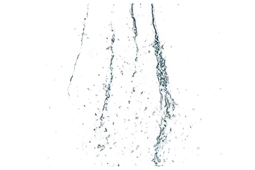 teliospores,autoradiography,neurospora,dictyostelium,cyanobacterium,mycorrhizae,schizosaccharomyces,balestrieri,koli bacteria,ascospores,acanthamoeba,phytoliths,microsporum,microhyla,protozoa,streptococci,mycorrhizal,ectomycorrhizal,trichuris,pseudomonas,Conceptual Art,Graffiti Art,Graffiti Art 08