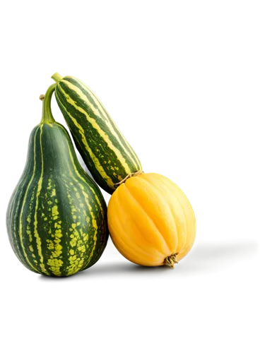 gem squash,cucuzza squash,cucumber  gourd  and melon family,summer squash,acorn squash,winter squash,figleaf gourd,cucurbita,pointed gourd,squash,ornamental gourds,gourds,muskmelon,decorative squashes,zucchini,cucumis,courgette,cucurbit,bitter gourd,melon,Illustration,Retro,Retro 06