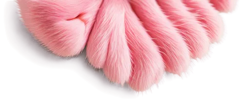 Dog's paw, detailed fur texture, soft pink pad, claws slightly visible, slight dirt accumulation, gentle pressure impression, outdoor setting, natural light, shallow depth of field, warm color tone, 3