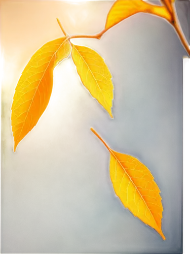 autumn frame,leaves frame,leaf background,beech leaf,autumn background,golden leaf,beech leaves,spring leaf background,yellow leaf,autumn leaf,sunlight through leafs,tree leaves,light of autumn,leaf color,parthenocissus,brown leaf,round autumn frame,leafed,autumn light,chestnut leaf,Conceptual Art,Fantasy,Fantasy 20