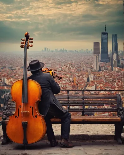 cellist,cello,violoncello,violin player,violinists,violist,violinist,violone,itinerant musician,double bass,string instruments,arpeggione,violin,upright bass,musicians,string instrument,bass violin,playing the violin,solo violinist,woman playing violin,Photography,Documentary Photography,Documentary Photography 32