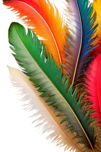 parrot feathers,color feathers,peacock feathers,peacock feather,feathers,feather,feather headdress,bird of paradise,birds of paradise,bird feather,beak feathers,plumes,swan feather,chicken feather,hawk feather,tropical leaf,palm fronds,palm leaf,plumage,pigeon feather,Illustration,Retro,Retro 02