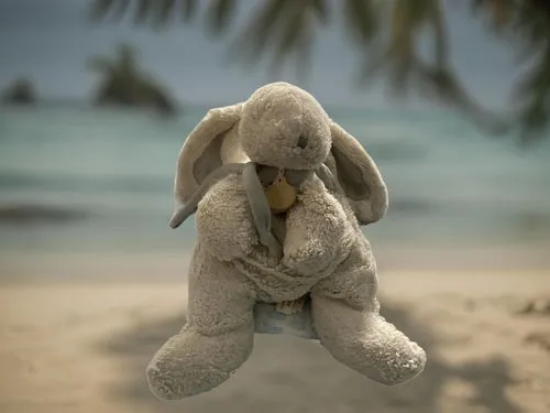 elephant toy,head stuck in the sand,stranded,elefante,baby elephant,kurumba