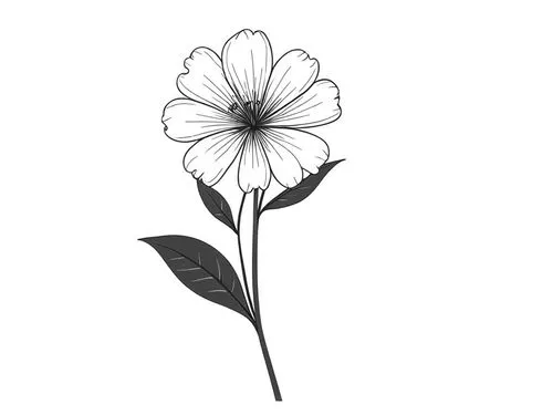 minimalist flowers,flowers png,flower illustration,windflower,flower line art,flower drawing,Design Sketch,Design Sketch,Rough Outline