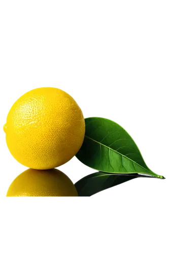 lemon background,lemon wallpaper,slice of lemon,lemon - fruit,lemon,lemon half,citrus,lemon tree,citron,lemons,half slice of lemon,lemon lemon,poland lemon,lemony,yellow fruit,juicy citrus,green oranges,lemon juice,lemon slice,lemon flower,Illustration,Vector,Vector 09