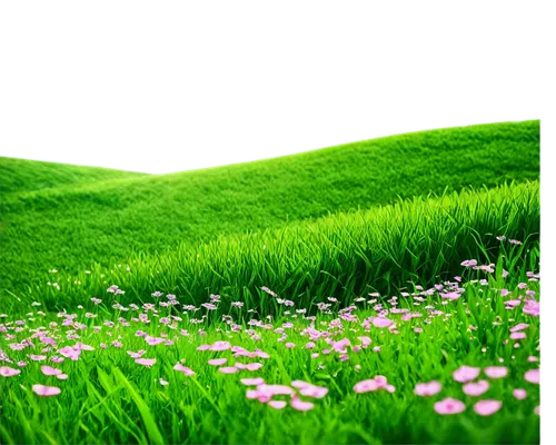 artificial grass,green grass,green wallpaper,wheat germ grass,halm of grass,green landscape,green fields,green lawn,green background,aaa,block of grass,green meadow,wheatgrass,blooming grass,grassland,grass,lawn,grass roof,trembling grass,meadow fescue,Art,Artistic Painting,Artistic Painting 34