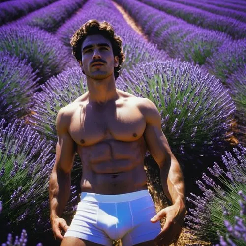 lavender fields,lavander,lavender field,valensole,lavendar,lavender,lavandula,lavender cultivation,gardener,lavenders,lavender bunch,adonis,the lavender flower,lavander products,chives field,cultivated field,crops,fernano alonso,flowers field,fields,Photography,Documentary Photography,Documentary Photography 12