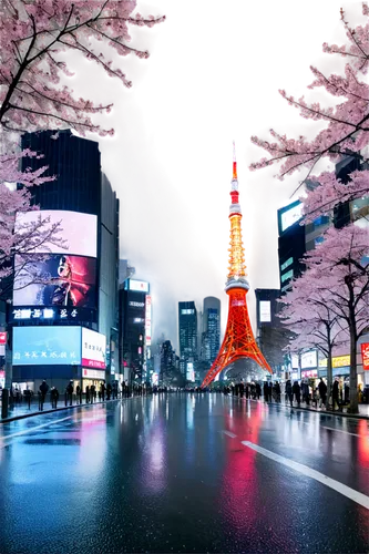 japanese sakura background,sakura background,japan's three great night views,japanese floral background,tokyo ¡¡,french digital background,sakura trees,beautiful japan,tokyo,sakura tree,sakura blossom,tokyo tower,takato cherry blossoms,japanese background,japan landscape,sakura blossoms,cherry blossom japanese,the cherry blossoms,sakura,cherry blossoms,Illustration,American Style,American Style 02