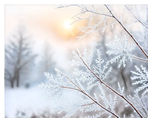 snowflake background,winter background,frostiness,hoarfrost,ice crystal,ice rain,frosts,vinter,hiver,winterland,winter magic,frostily,winter dream,frostings,frost,unfrozen,wintry,christmas snowy background,winterization,crystalize,Art,Artistic Painting,Artistic Painting 04