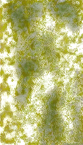 yellow wallpaper,veil yellow green,cyanobacteria,duckweed,whirlpool pattern,pool water surface,marpat,xanthophylls,watermilfoil,brocade carp,liverwort,hydrilla,watercolour texture,trichophyton,pondweed,yellow fish,water surface,macrophytes,lemon pattern,cyano,Conceptual Art,Daily,Daily 06