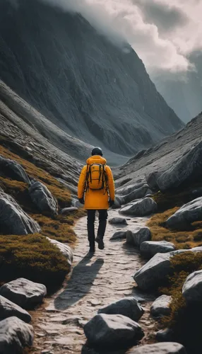 Generate an adventurous prompt for a CRM AI tool: 'Embark on a journey of customer satisfaction with our innovative CRM platform.',hiker,fjäll,mountain guide,backpacking,hiking equipment,the wanderer,