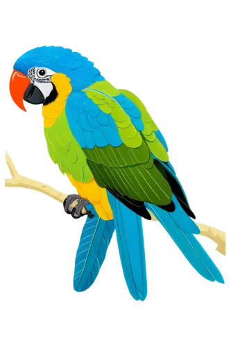 yellow macaw,blue and yellow macaw,macaw,macaw hyacinth,sun parakeet,toco toucan,blue macaw,sun conure,scarlet macaw,guacamaya,light red macaw,beautiful macaw,bird png,macaws blue gold,macaws on black background,toucan,tucan,yellow parakeet,couple macaw,caique,Illustration,Japanese style,Japanese Style 15