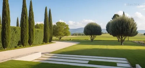 Render a green garden, all lawn, with cypresses and olive trees.
in the background insert a wooded and hilly background. 
The road on the left is in gravel,the garden with stone steps and rows of tree