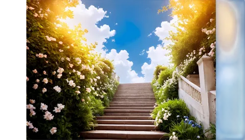 Heavenly scene, fluffy white clouds, vibrant blue sky, golden light rays, gentle breeze, majestic stairway to heavens, delicate flower petals, shimmering mist, soft focus, 3/4 composition, warm color 