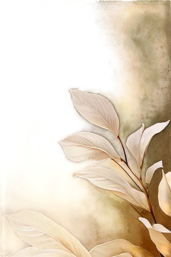 watercolor floral background,paper flower background,cherokee rose,watercolor leaves,white magnolia,watercolour flower,tulip background,yellow rose background,flower in sunset,white lily,flower background,watercolor flower,floral digital background,japanese floral background,southern magnolia,watercolour flowers,spring leaf background,flowers png,cape jasmine,white plumeria,Conceptual Art,Fantasy,Fantasy 04