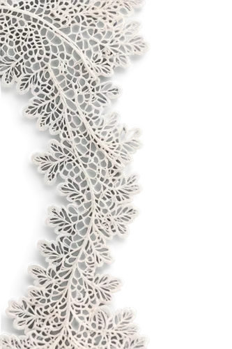 paper lace,mandelbulb,lace border,doily,fractal environment,stony coral,spirography,fractal,fractals,filigree,gradient mesh,lace borders,fractals art,spines,fractal art,mandelbrodt,fabric texture,banksia,feather coral,tangle,Conceptual Art,Sci-Fi,Sci-Fi 08