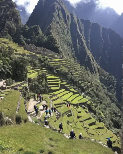 machupicchu,machu picchu,machu,machu pichu,inca rope bridge,machu pi,peru,incas,peru i,marvel of peru,inca,rice terrace,pachamama,ica - peru,terraces,rice terraces,harau,unesco world heritage site,high-altitude mountain tour,unesco world heritage,Conceptual Art,Daily,Daily 10