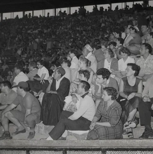 soccer world cup 1954,grandstands,concert crowd,tribuna,spectator seats,platea,comiskey,spectators,rickwood,bramlage,pionir,grandstand,ebbets,13 august 1961,crowd of people,wilkesboro,anorthosis,nasl,crowd,nejmeh