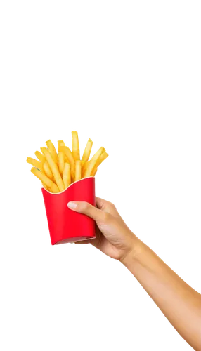 fries,friess,french fries,mcdonaldization,frites,potato fries,frie,with french fries,belgian fries,frydman,friesz,fast food,hamburger fries,fastfood,macdhui,mctwist,flaming torch,mystic light food photography,pdq,fry,Illustration,Children,Children 06