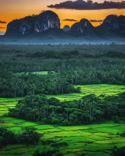 Describe the picturesque landscapes of Vinales at dusk.,viñales valley,karst landscape,golf landscape,green landscape,vinales,vietnam,rice fields,karst area,cambodia,thailand,beautiful landscape,indon