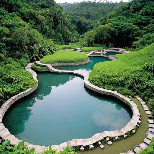 infinity swimming pool,zen garden,japanese zen garden,swim ring,crescent spring,ubud,outdoor pool,volcano pool,anantara,feng shui golf course,pools,swimming pool,garden pond,amanresorts,water spring,japanese garden,japan garden,fishpond,lilly pond,hyang garden,Photography,Documentary Photography,Documentary Photography 31