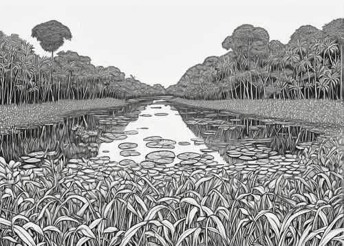 swampy landscape,wetland,wetlands,ricefield,rice paddies,rice fields,Illustration,Black and White,Black and White 18