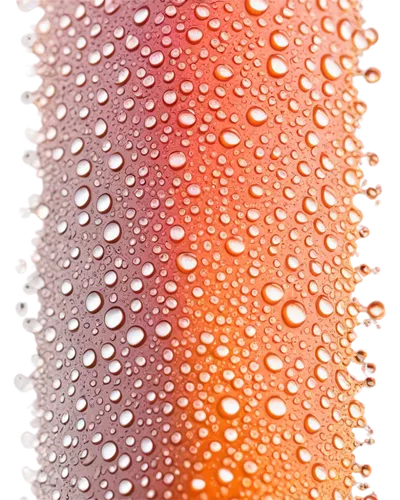 condensation,dew droplets,water droplets,orange drink,orange,drops of water,droplets,rain droplets,dew,droplets of water,dew drops,orange soft drink,rainwater drops,dewdrops,water drops,waterdrops,drops,air bubbles,half orange,wall,Illustration,American Style,American Style 03