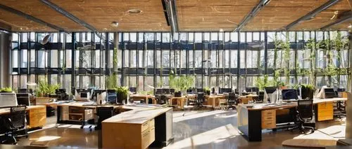 bobst,lecture room,aschaffenburger,hallward,schulich,university library,lecture hall,snohetta,bibliotheek,school design,reading room,technion,ubc,epfl,study room,biotechnology research institute,daylighting,herbarium,bibliothek,radboud,Illustration,Vector,Vector 16