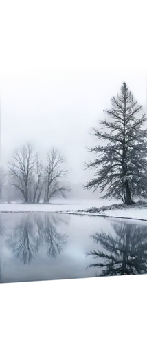 winter background,reflection in water,mirror water,ice landscape,water mirror,winter tree,winter landscape,snow trees,multiple exposure,reflections in water,water reflection,isolated tree,mirror reflection,miroir,snow landscape,mirrored,treemsnow,reflectional,winter dream,mirror in the meadow,Illustration,Realistic Fantasy,Realistic Fantasy 41