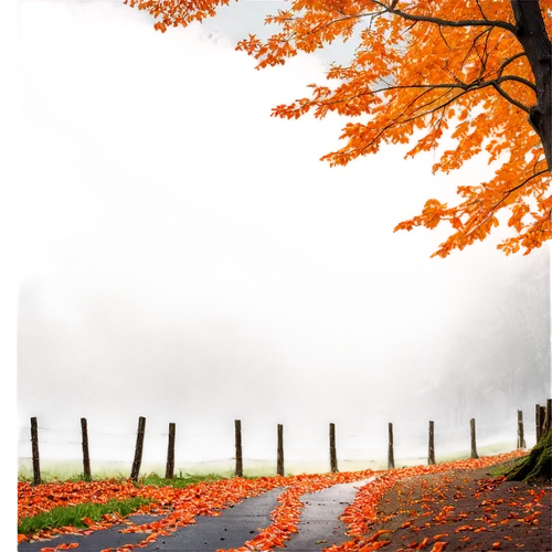 autumn background,autumn scenery,autumn landscape,fall landscape,autumn fog,autumn forest,autumn morning,autumn idyll,autumn day,autumn,autumn frame,autumn walk,autumn tree,just autumn,landscape background,autumn trees,the autumn,nature background,autumn songs,autumn leaves,Conceptual Art,Oil color,Oil Color 12