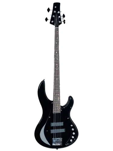 electric bass,lakland,jazz bass,caggiano,bass guitar,schecter,silvertone,freidrich,framus,peavey,knaggs,fretless,steinberger,alembic,charvel,electric guitar,mosrite,stratocaster,e bass,bass,Photography,Fashion Photography,Fashion Photography 06