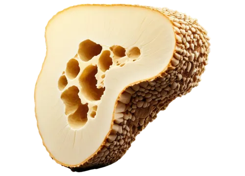 durian seed,parmigiano,trypophobia,seedpod,caciocavallo,buko,padano,jackfruit,polyporus,muskmelon,harthacnut,hinoki,tree mushroom,slice of wood,emmentaler,soursop,pecorino,coconspirator,honeycomb structure,mucilaginous,Photography,Black and white photography,Black and White Photography 15