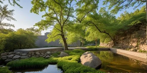 japanese garden,weeping willow,green trees with water,hyang garden,suzhou,green landscape,river landscape,japanese garden ornament,acequia,qingming,landscape background,qingcheng,shaoxing,background view nature,linzhou,japan garden,dongjiang,ritsurin garden,landscape designers sydney,changzong,Photography,General,Realistic