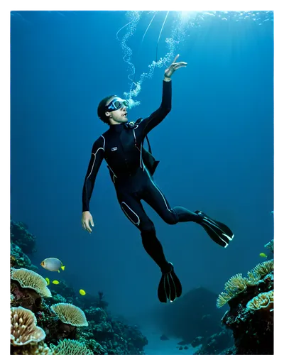 freediving,freediver,divemaster,scuba,scuba diving,underwater background,subaquatic,snorkeling,under water,diving,under the water,snorkelers,underwater,diver,snorkelling,diving fins,snorkeler,similan,nose doctor fish,aquanaut,Conceptual Art,Daily,Daily 20