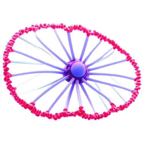 circular ornament,wreath vector,flowers png,circular star shield,ellipsoid,toroidal,torus,volumetric,gradient mesh,anisotropic,bundt,dodecagonal,plastic flower,spirograph,electric arc,parasol,paraboloid,circular puzzle,flower ball,magnete,Illustration,Vector,Vector 10