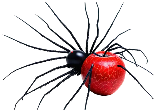 redbacks,redback,red apple,diadem spider,scarlet lily beetle,derivable,red fruit,arachnida,wild apple,ripe apple,spider,cinema 4d,3d render,water apple,malvaceae,arachnoid,red ant,arachne,worm apple,red strawberry,Art,Classical Oil Painting,Classical Oil Painting 11