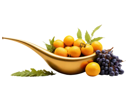 yellow currants,marmelade,fruit bowl,autumn fruits,naturopathy,lemon background,edible oil,bowl of fruit,fruits plants,olive oil,yellow berry,gold currant,walnut oil,mediterranean diet,fruit basket,phytoestrogens,fresh fruits,passion fruit oil,exotic fruits,fruits icons,Photography,Documentary Photography,Documentary Photography 30