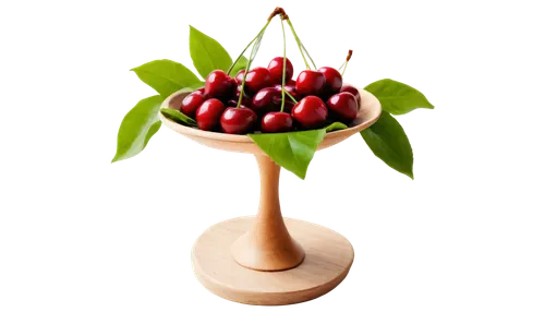 rose apple,allspice,jewish cherries,fruit tree,cherry branch,bierenbaum,xmas plant,rose hip plant,psidium,pomegranate,ornamental cherry,illicium,bishvat,a fruit chestnut,argan tree,mangosteen,great cherry,potted tree,arabica,chestnut fruit,Illustration,Retro,Retro 23